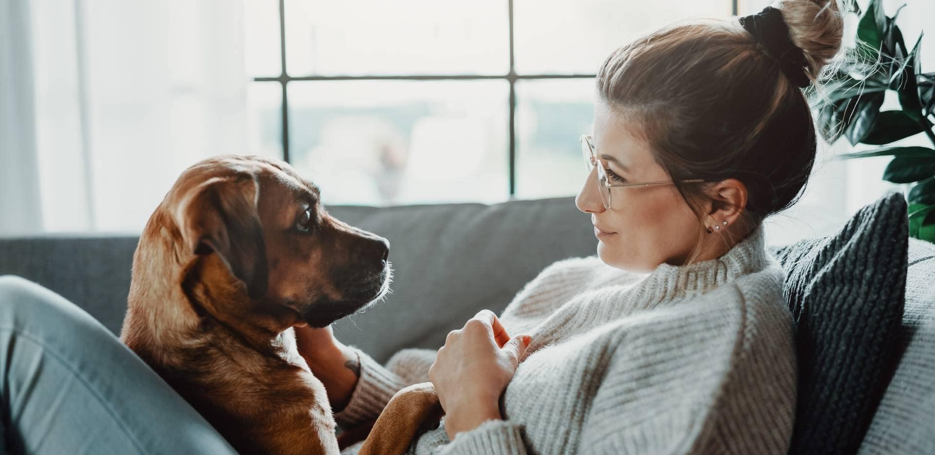 Žena relaxuje so psom na gauči a užívajú si spoločnú pohodu