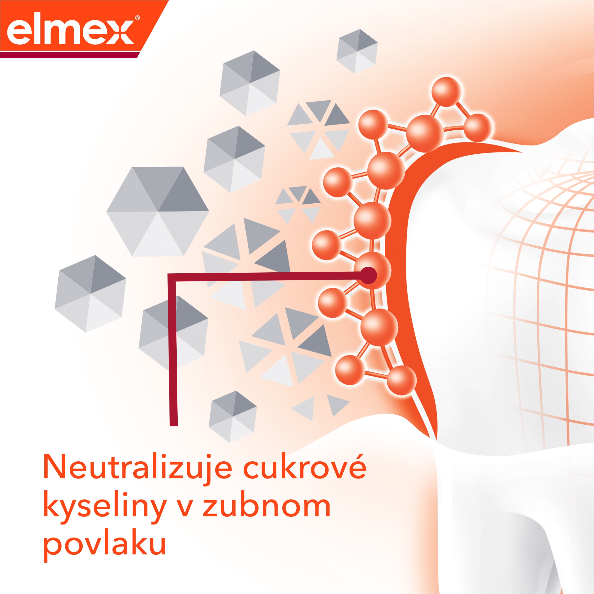 Ilustrácia molekuly nad obrázkom zuba s popisom „Neutralizátor cukrových kyselín“. 
