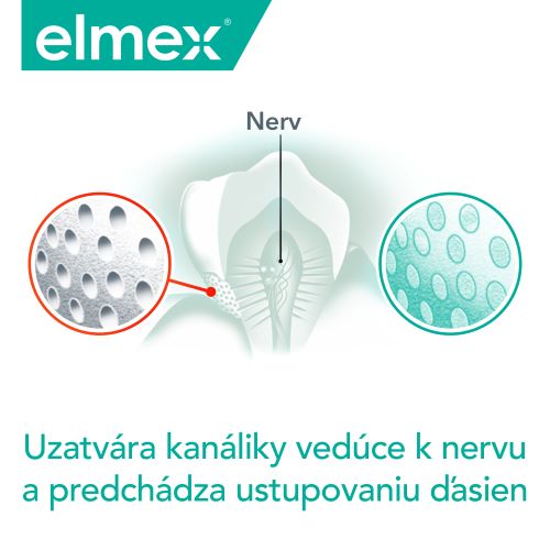 Logo značky Elmex s emblémom zemegule a rukou, odkazujúci na zodpovednú výrobu.