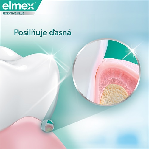 elmex® Sensitivity + Gum Care zubná pasta 75 ml